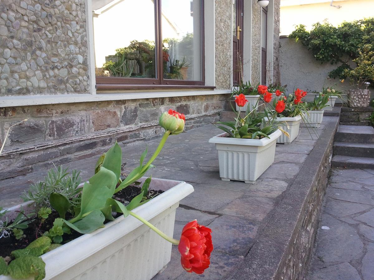 The Stone House B&B ボルティモア エクステリア 写真